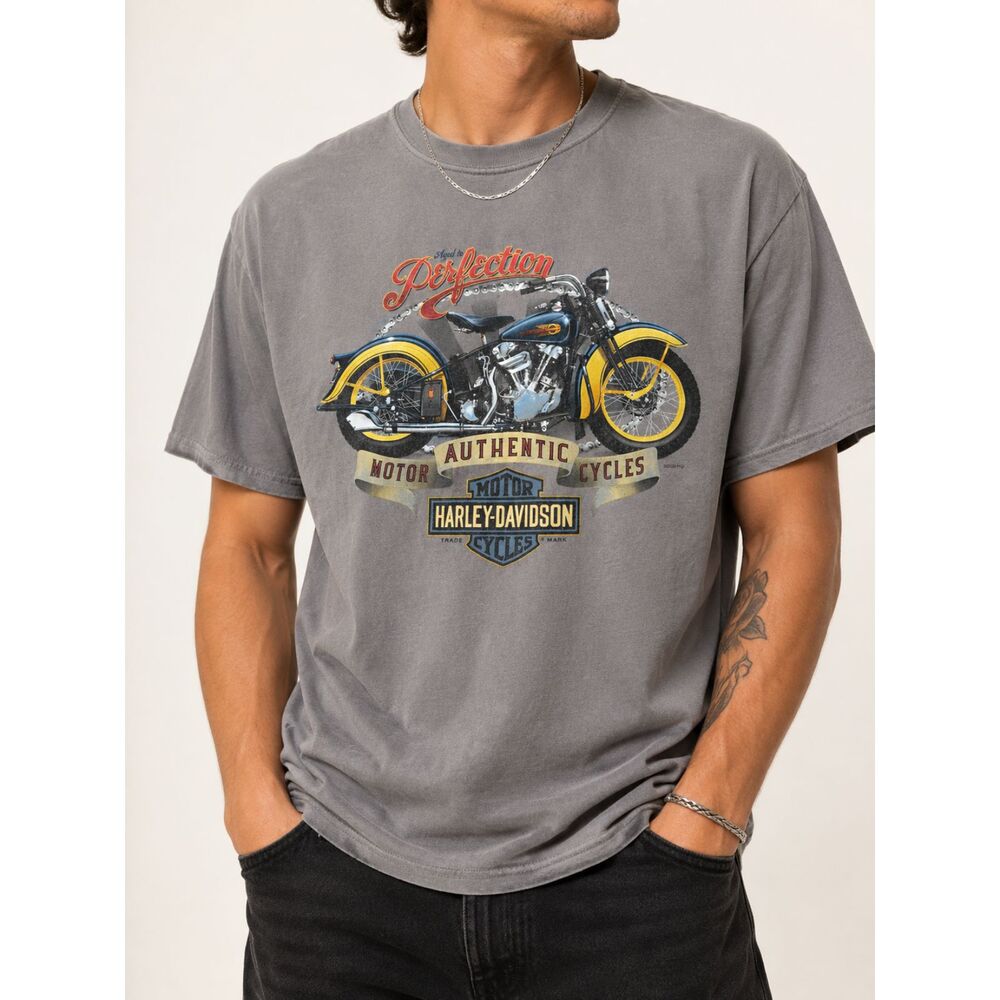 2009 Harley-Davidson Lombardi's Staten Island New York Graphic T-Shirt XL Gray